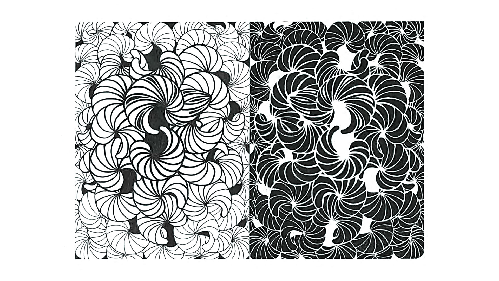 Black and White Pattern Design